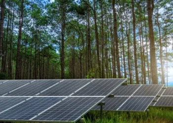 La métaphore du « terrain de football » fait glisser le débat sur l'énergie solaire